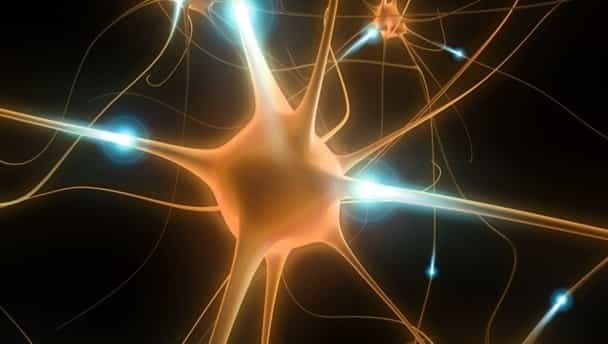 Irish researchers discover a way to pinpoint the risk of a stroke