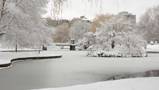 Video: Think twice before jumping into a frozen pond