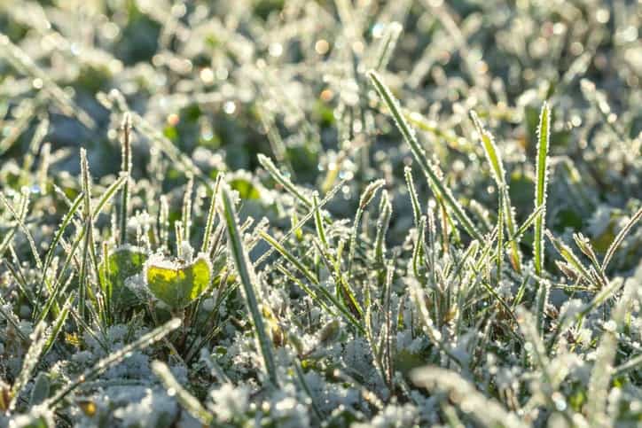 Temperatures set to plunge to below zero once again this weekend