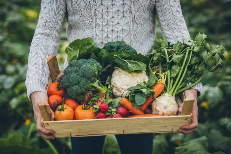 Why self-sufficiency is the way forward during the Covid-19 crisis