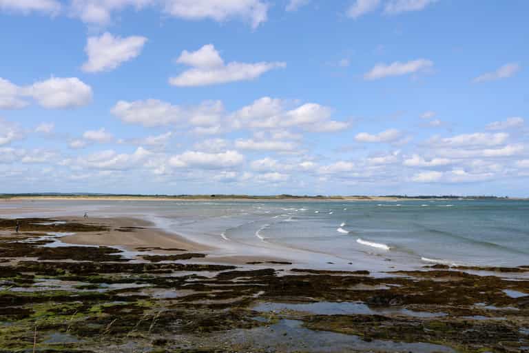 Temporary notices not to swim issued for two Dublin beaches due to E. coli bacteria