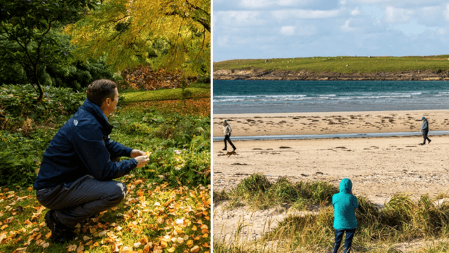 Enhance your Wild Atlantic Way road trip with these free attractions