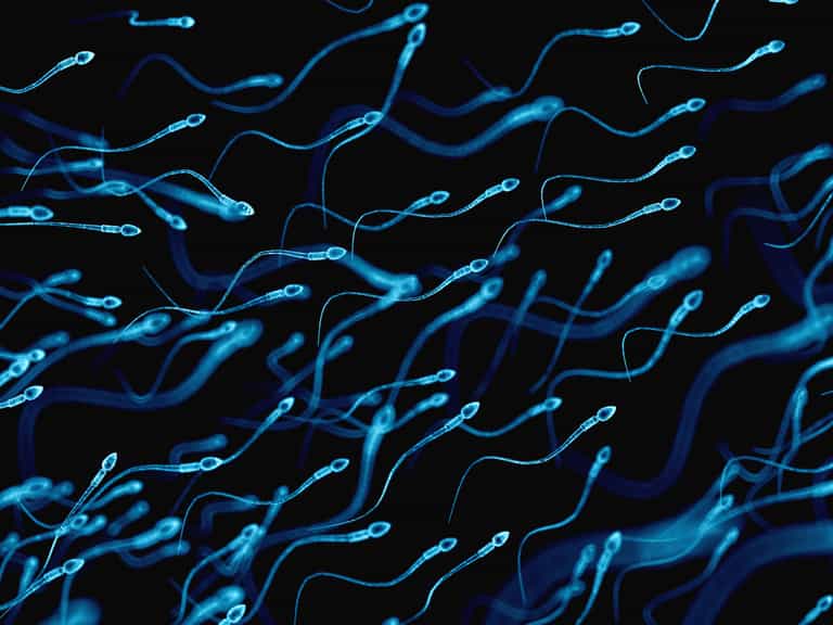 First-ever Sperm Racing World Cup announced and there’s some strict rules to compete