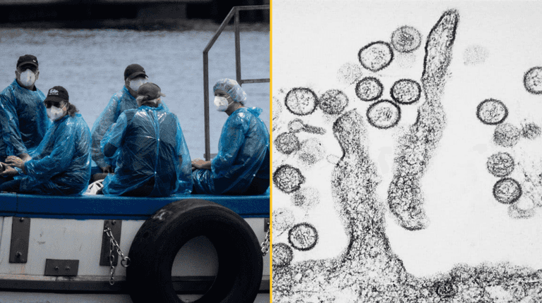 Irish passengers on board hantavirus-hit ship to be flown home as government jet reaches Tenerife