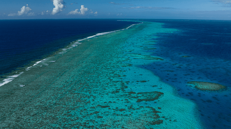 Man dies in shark attack on Australia’s Great Barrier Reef