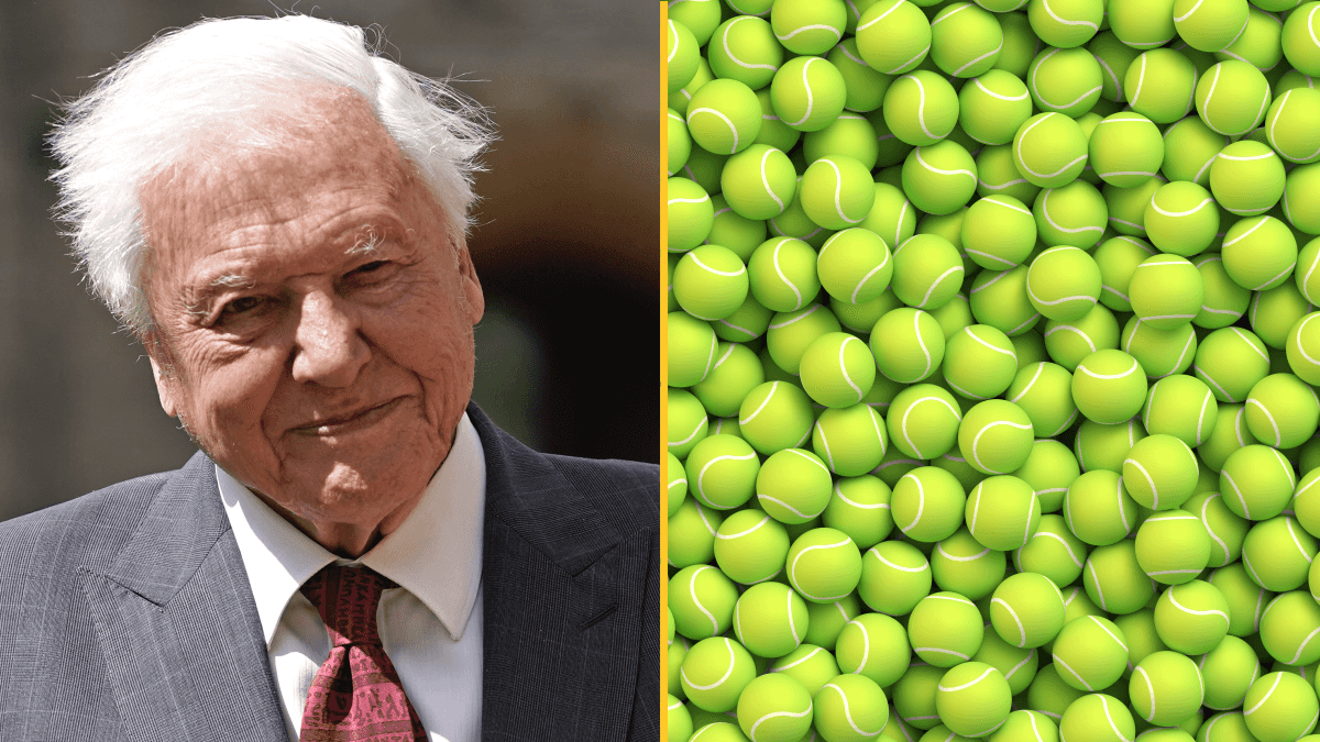 Sir David Attenborough is the reason why tennis balls are yellow