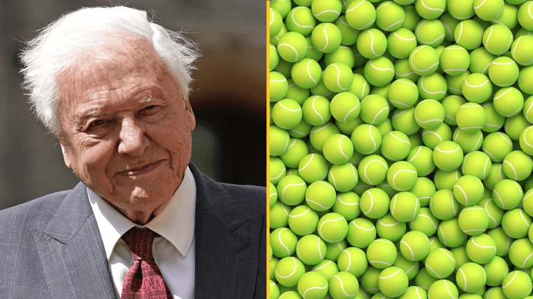 Sir David Attenborough is the reason why tennis balls are yellow