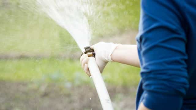 Homeowners can report neighbours or members of public who break six-week hosepipe ban