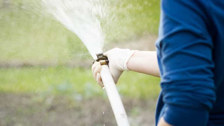 Homeowners can report neighbours or members of public who break six-week hosepipe ban