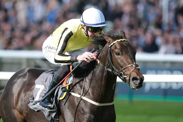 Irish Champion Stakes: George Scott eyes €75,000 supplement for Wimbledon Hawkeye