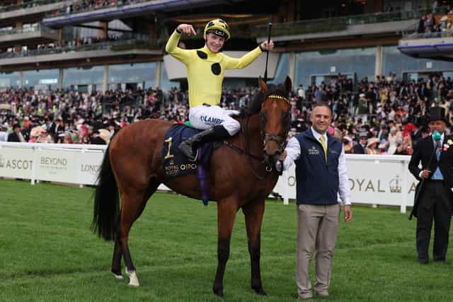 Bow Echo retired: Unbeaten superstar colt’s career cut short