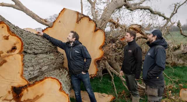 Fallen Irish trees turned into whiskey barrels