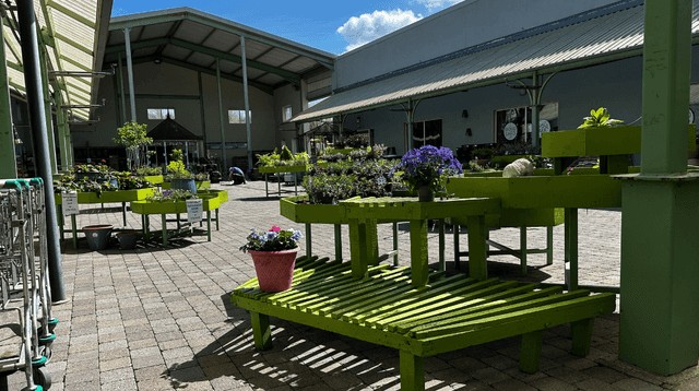Why this garden centre is the most-complained-about business in Ireland
