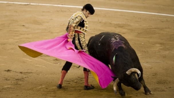 Video: Bullfighter gets gored in the face (Warning: Graphic content)
