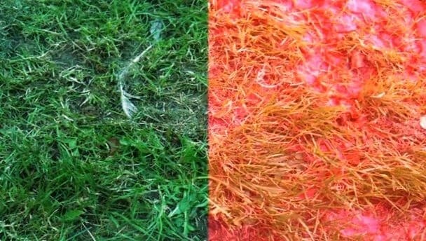Video: The weirdest, and most factually incorrect, Mayo All-Ireland song yet