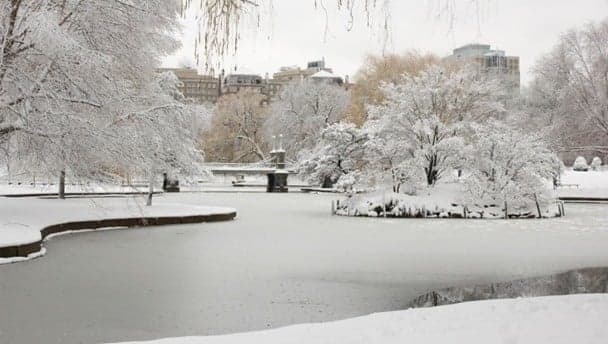 Video: Think twice before jumping into a frozen pond