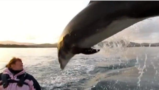 Video: Celebrations in Kerry as Funghi enjoys 30th year in Kerry