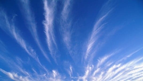 Looks like clouds, Ted
