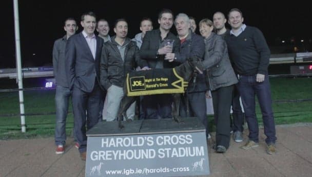 Gallery: JOE at Harold’s Cross Greyhound Stadium