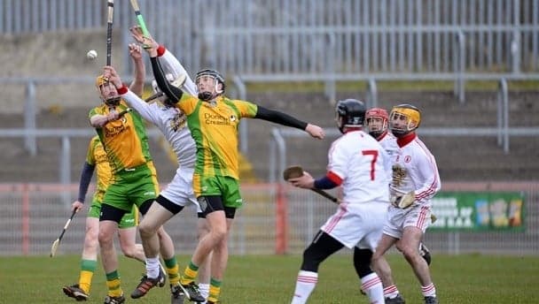 Unexpected guest during the clash of Donegal and Tyrone