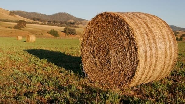 Transporting bales of hay Cavan-style