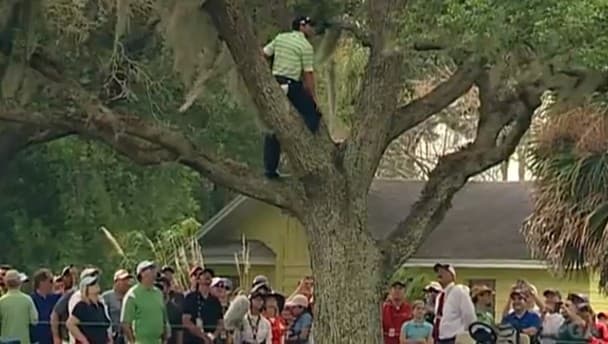 Video: Sergio Garcia climbs a tree to hit one-handed chip shot