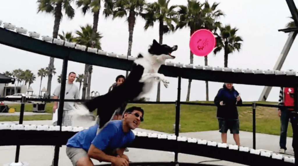 Video: Matrix-style ‘bullet time’ recreated with 130 smart phones