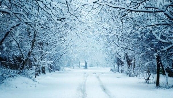 Snow way!? It’s snowing out in Mayo as we speak…