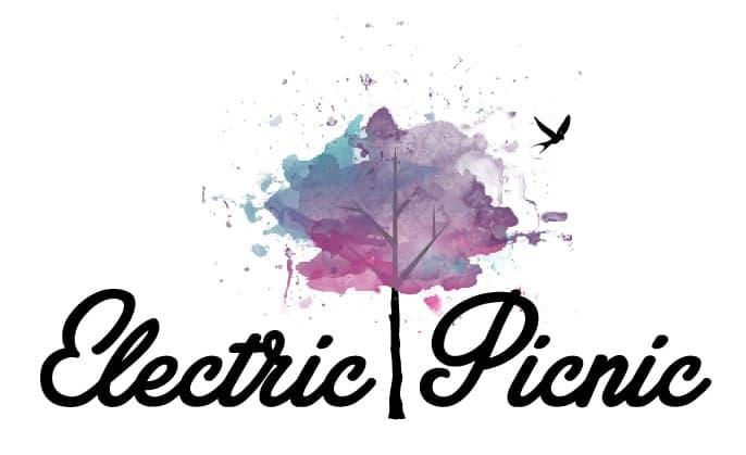 PIC: Check out the bus queue for Electric Picnic in Dublin