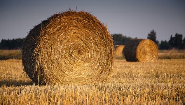 Pic: Field in Tipperary features the coolest bale sculpture we’ve ever seen