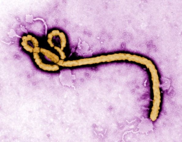 A ‘Sexy Ebola Nurse Costume’ is a thing now, as good taste runs for cover
