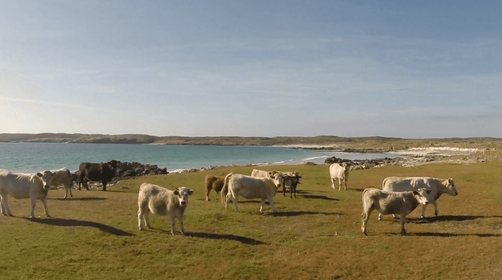 Video: You’d swear this was shot near the South of France & not the West Coast of Ireland…