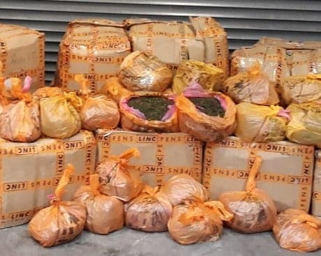 €367,000 worth of Khat seized at Dublin Airport