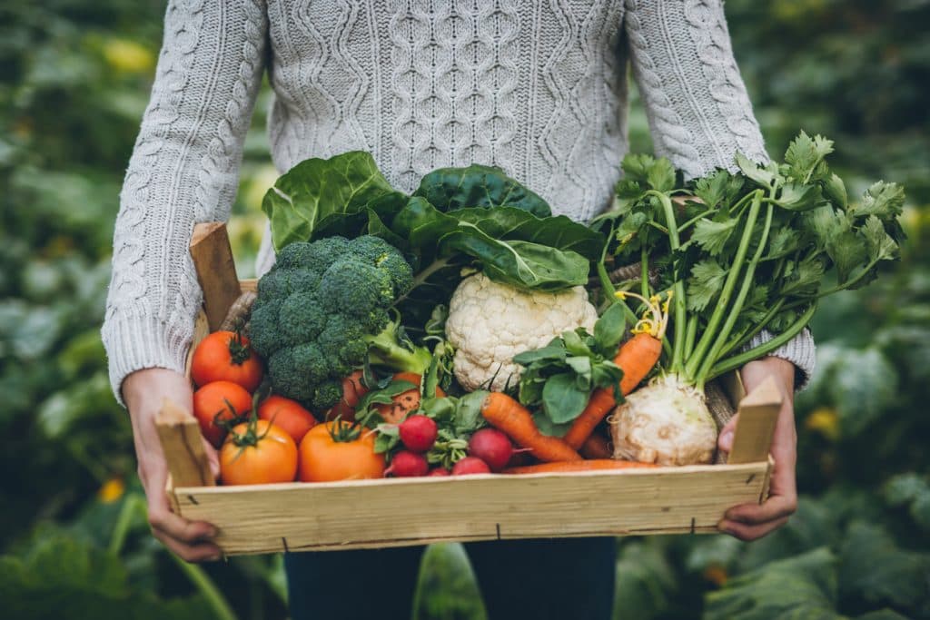 Why self-sufficiency is the way forward during the Covid-19 crisis