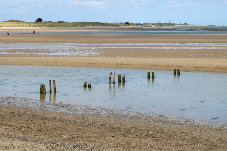 Do Not Swim Notice issued for Dublin beach over “unacceptable levels of bacteria”