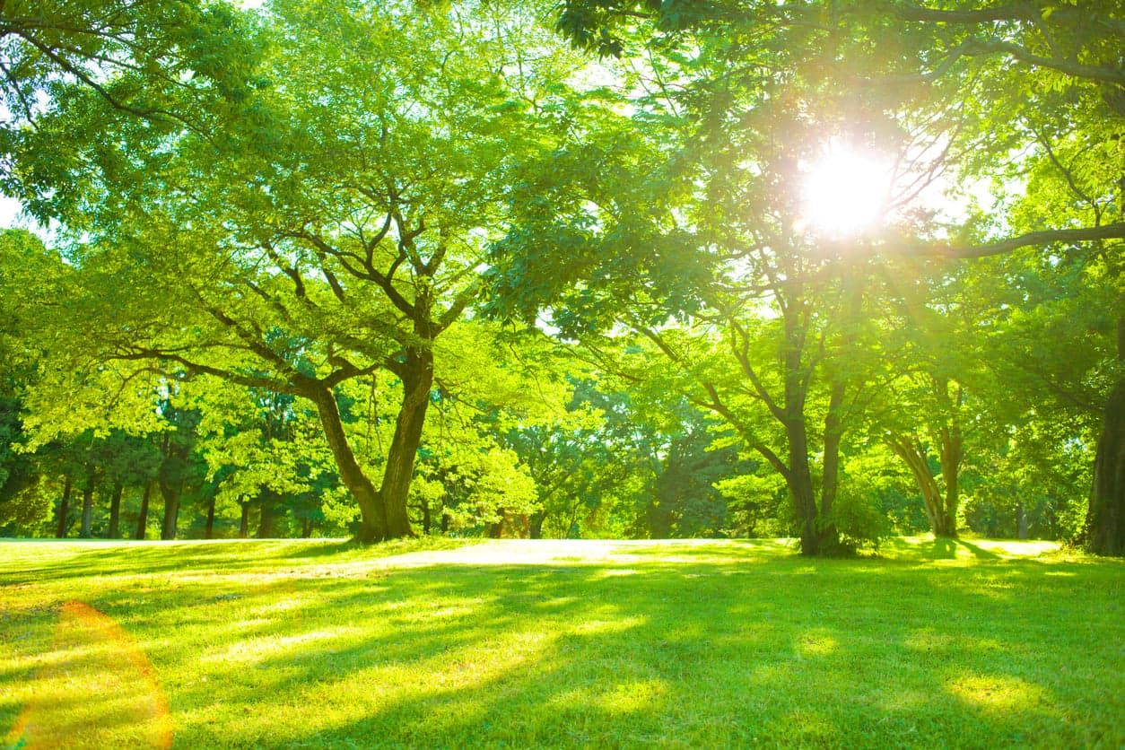 Dry weather with sunny spells forecasted for this weekend as temperatures to hit 24 degrees