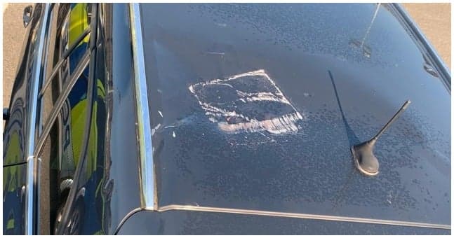 Breeze block thrown from high-rise flat onto police vehicle in Belfast
