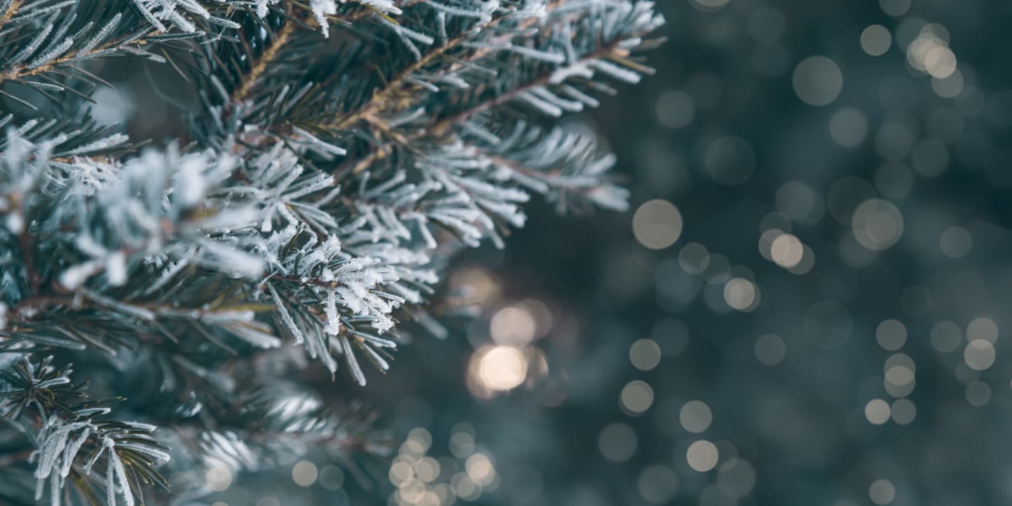 Temperatures set to drop to -4 degrees this week with possible snow in parts of Ireland