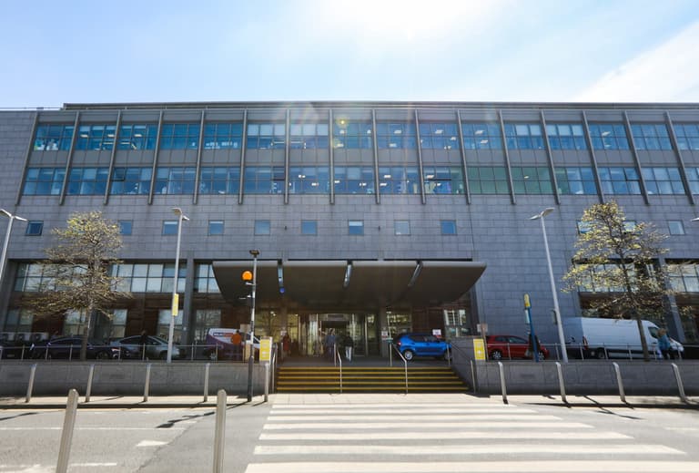 Dáil passes motion to secure public ownership of National Maternity Hospital site
