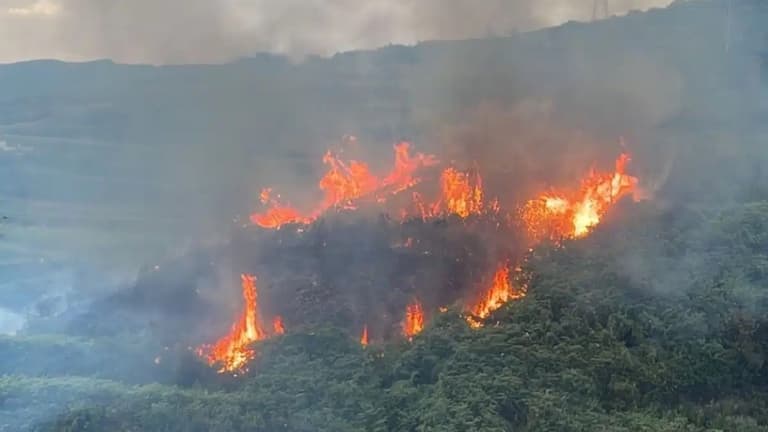 Mass evacuation on Canary Islands as extreme heatwave causes wildfires