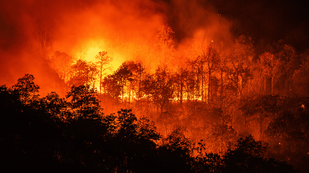 “Near certainty” that 2023 will be hottest year on record, say EU scientists