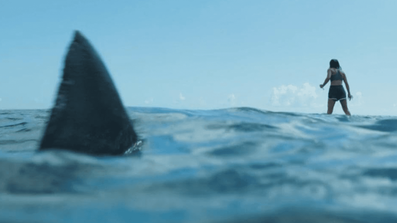 A fun shark thriller movie is airing on TV tonight