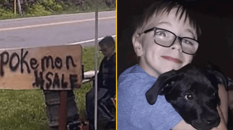Boy, 8, sells his Pokemon collection to save his dog’s life