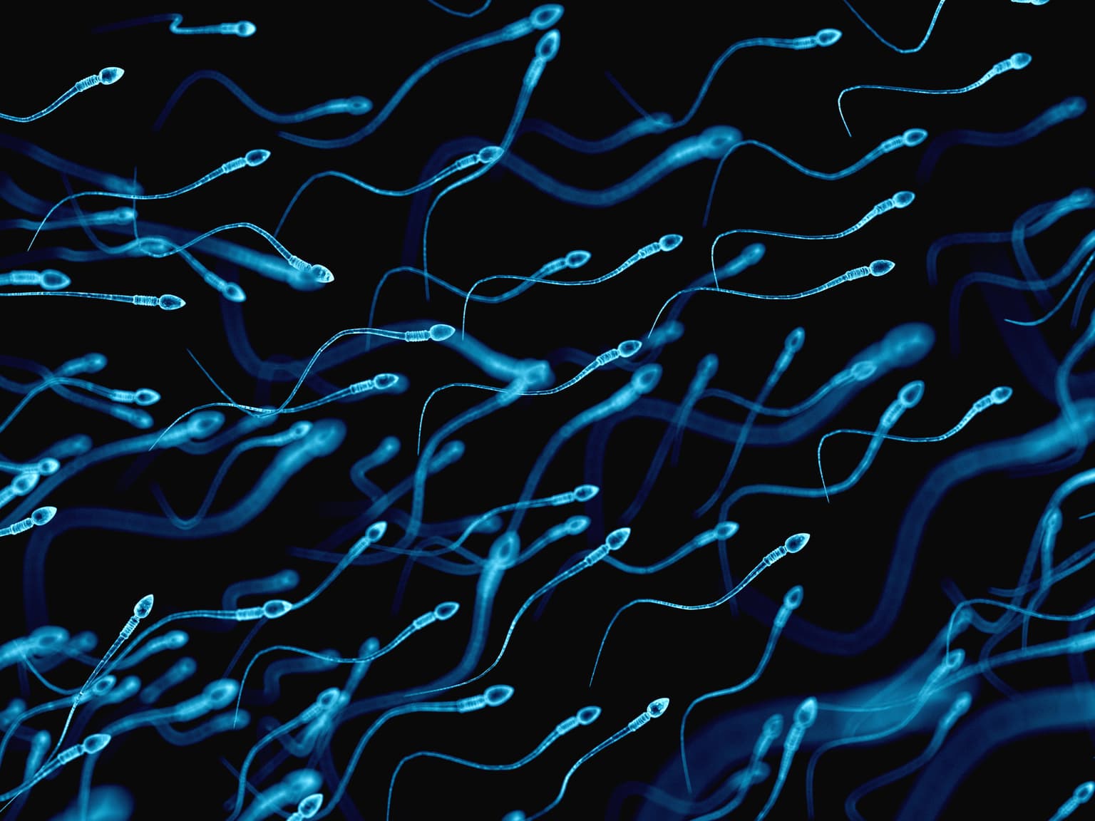 First-ever Sperm Racing World Cup announced and there’s some strict rules to compete