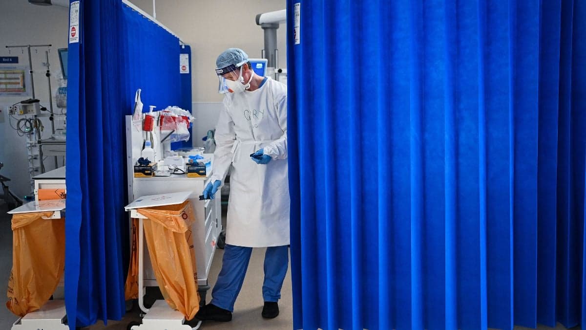 All the symptoms of hantavirus as WHO confirms strain can pass between humans