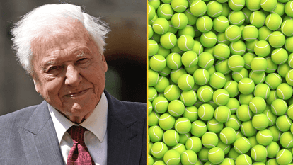Sir David Attenborough is the reason why tennis balls are yellow
