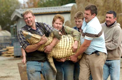 Mother father and son jumped into crocodile pit to save boy, new details reveal