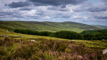 Weather experts pinpoint when Ireland’s dry sunny spell will ‘change’