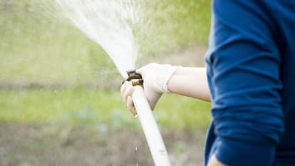 Homeowners can report neighbours or members of public who break six-week hosepipe ban
