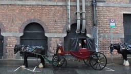 Viral tourist post on Dublin horse and carriage “scams” is “damaging Ireland”